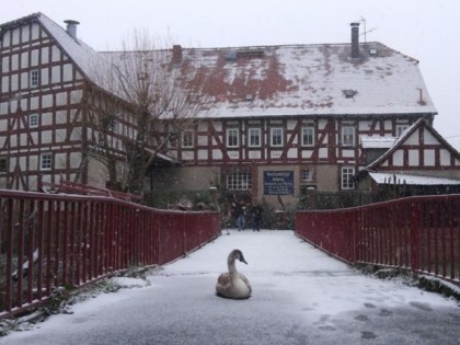 Фото: Brücker Mühle